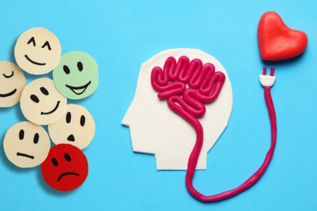 Alfabetización emocional: guía práctica para entender emociones